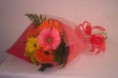 /album/gerberas/bouquet-ilusion-325-jpg/